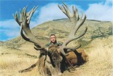Glenroy Hunting Safaris - New Zealands Best Hunting - elk63
