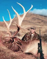 Glenroy Hunting Safaris - New Zealands Best Hunting - glenwebelk48