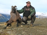 Glenroy Tahr 0249